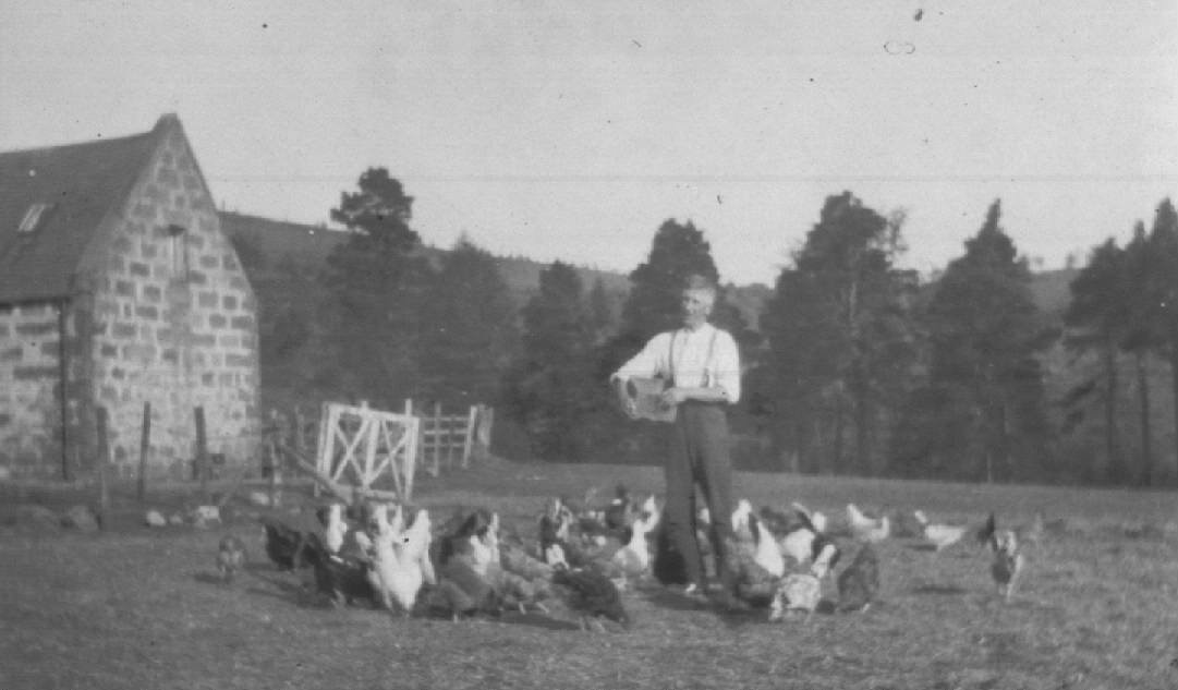 Barrowsgate feeding the chickens