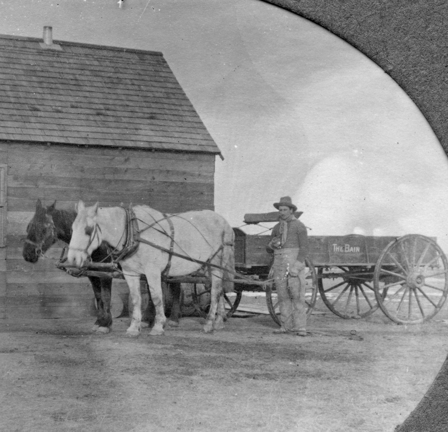 Man with horses in fron tof barn